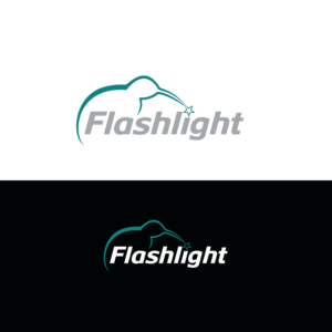 Flashlight | Logo Design by emptyboxgraphics