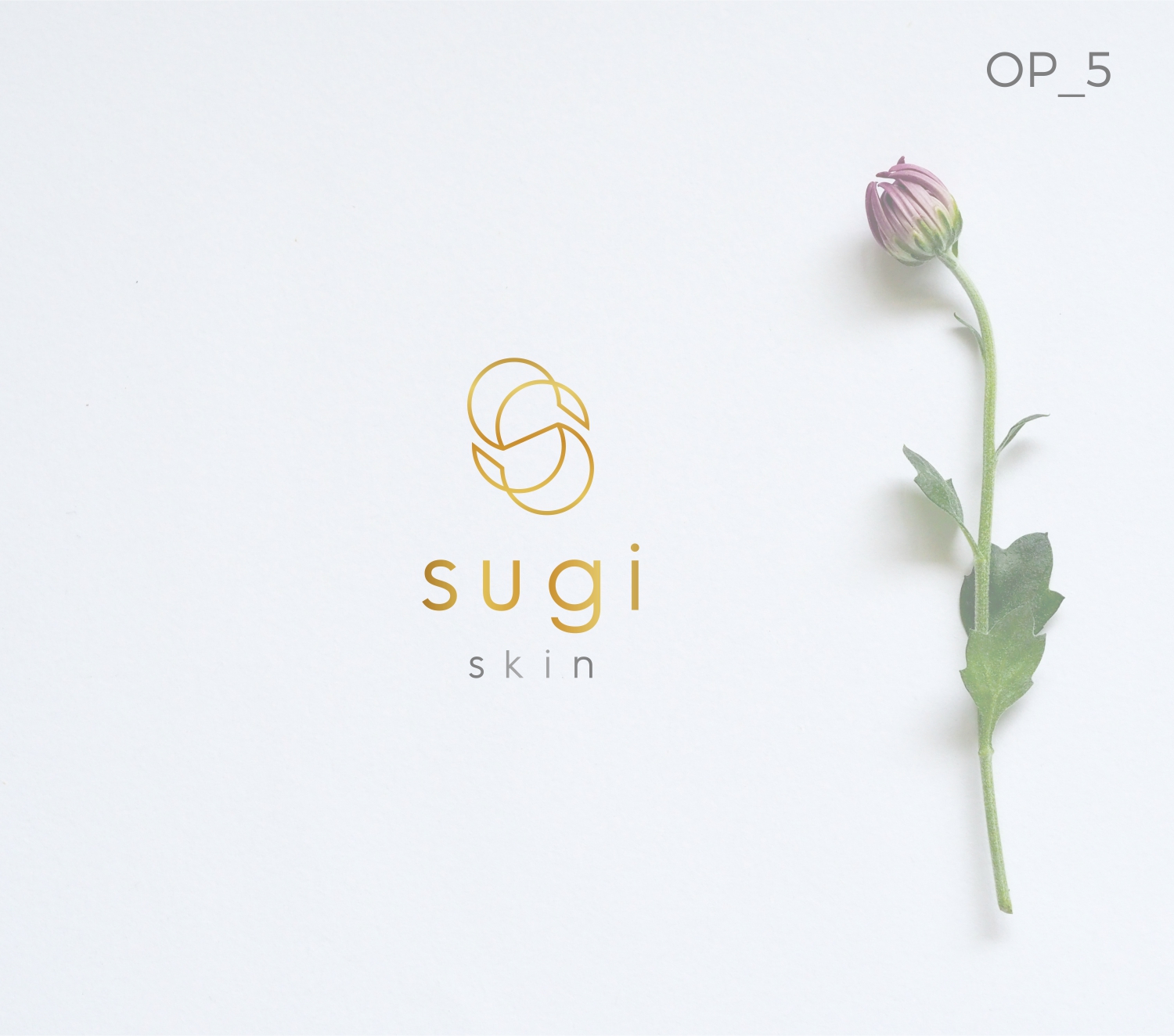 Logo Design by GVisions for this project | Design #25387552