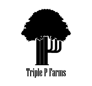 Logo Design by imgaurav92 for this project | Design #25281051