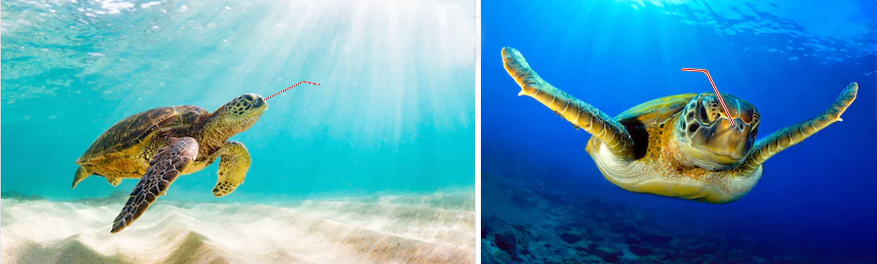 Graphic Design by avi's for this project | Design #25278539