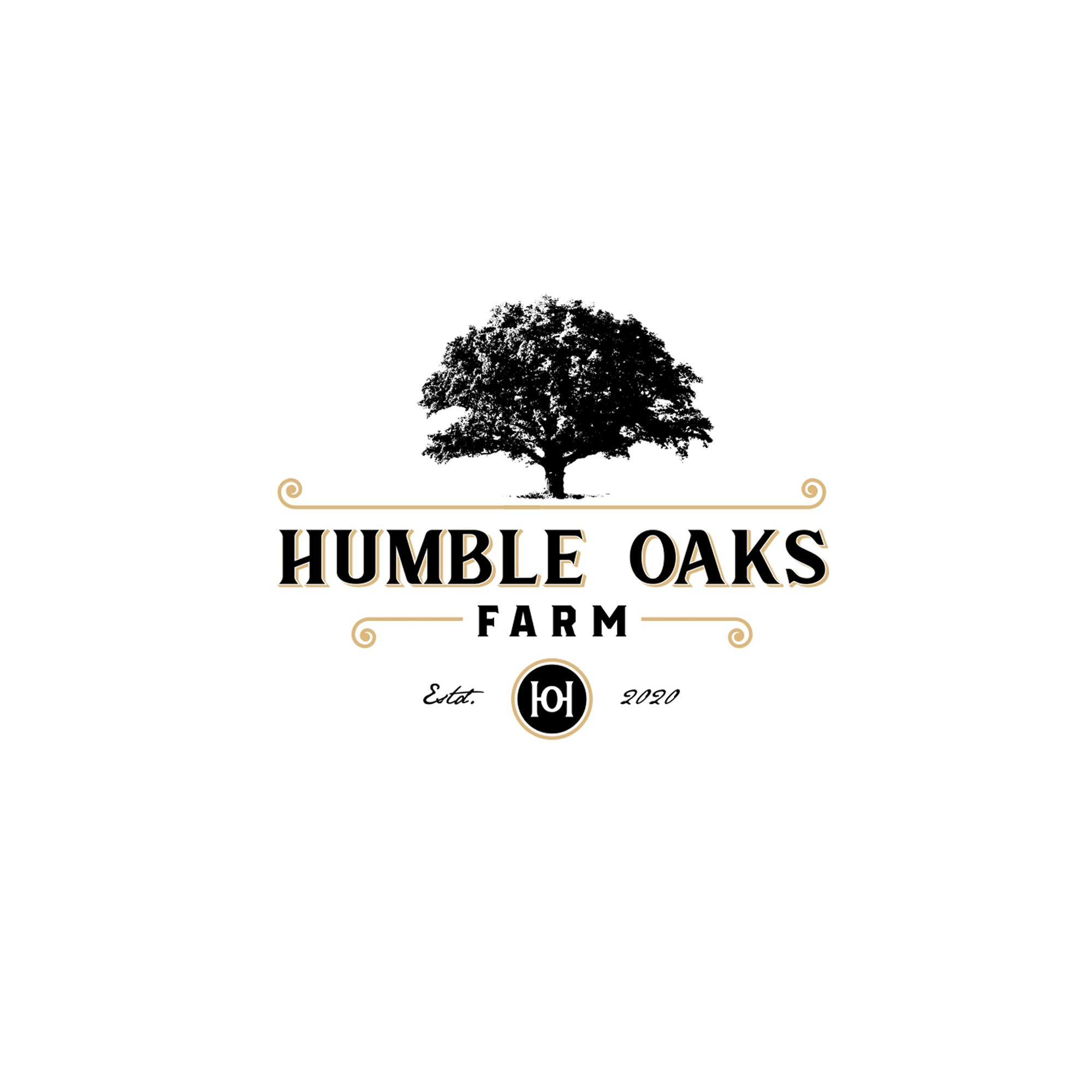 Design de Logo par Ankit Bhattarai pour ce projet | Design #25280129