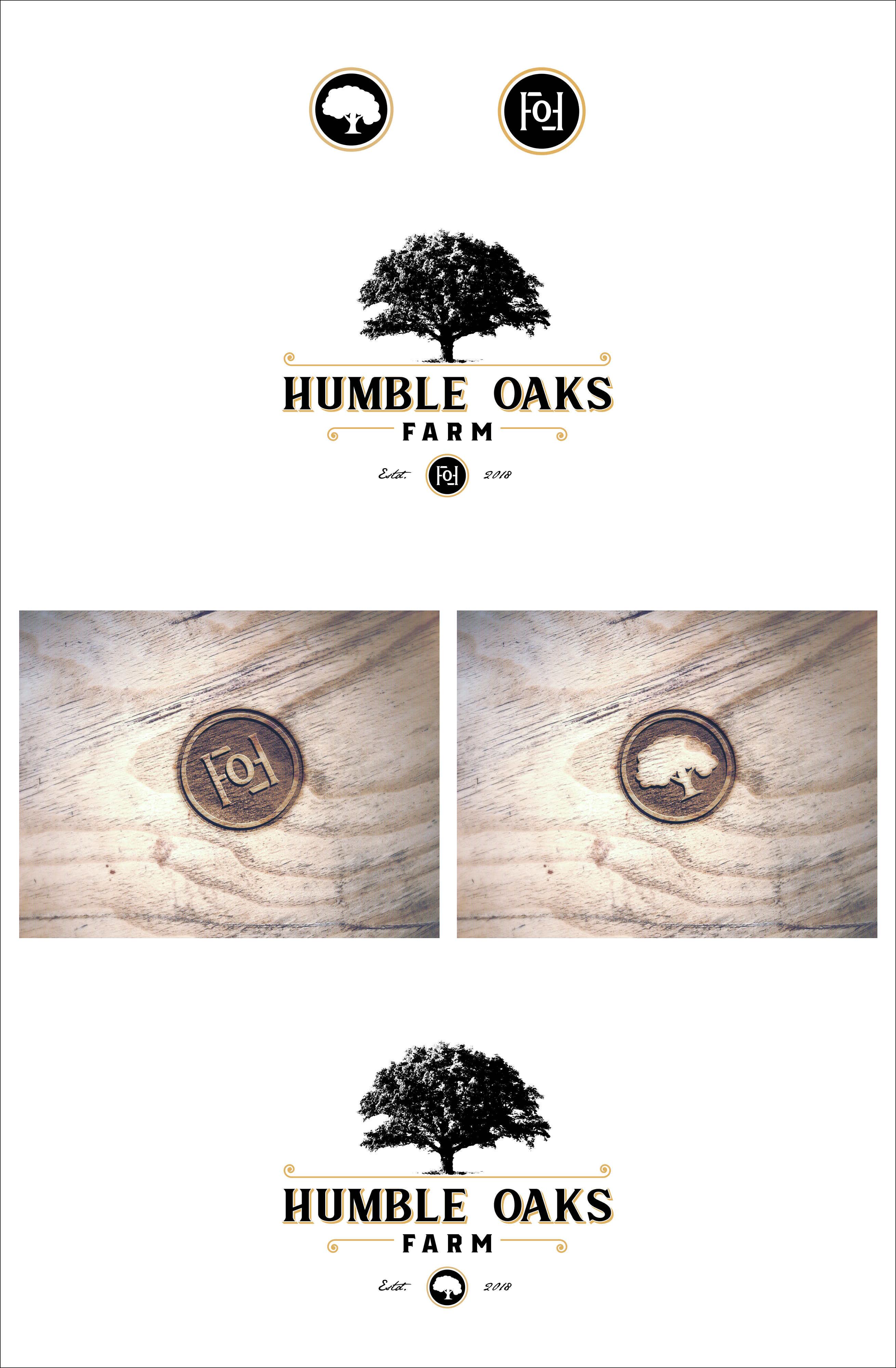 Design de Logo par Ankit Bhattarai pour ce projet | Design #25285351