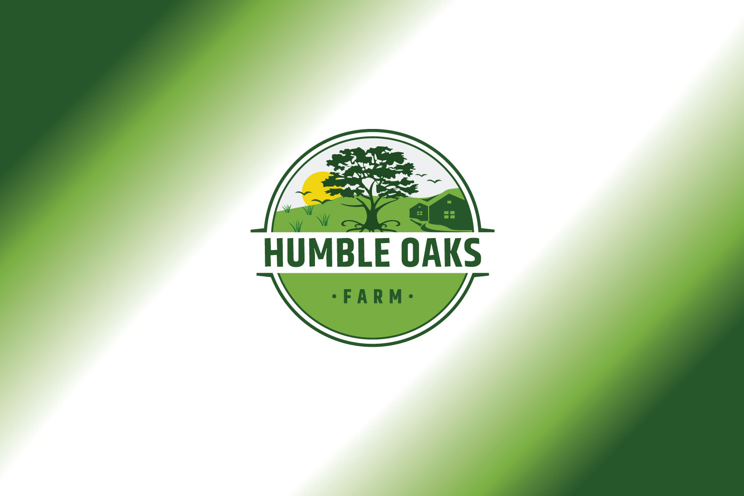 Diseño de Logo por solidinto para este proyecto | Diseño #25283392