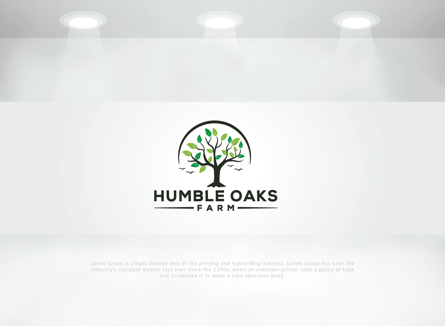Design de Logo par solidinto pour ce projet | Design #25287390