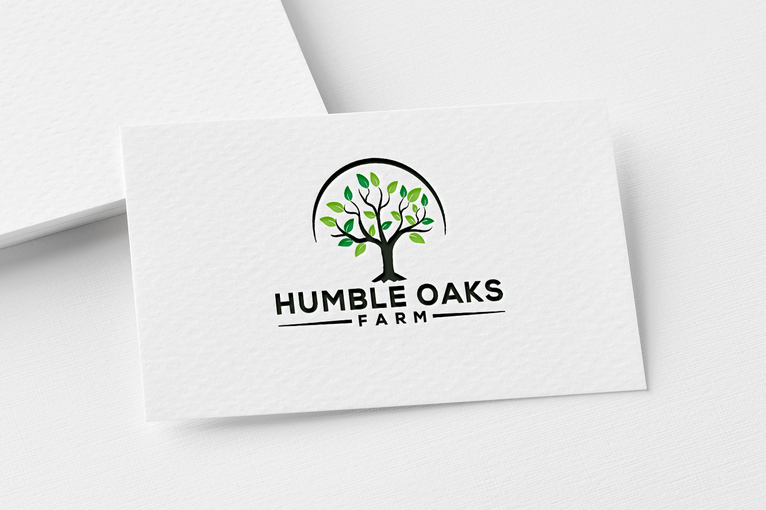 Design de Logo par solidinto pour ce projet | Design #25287393