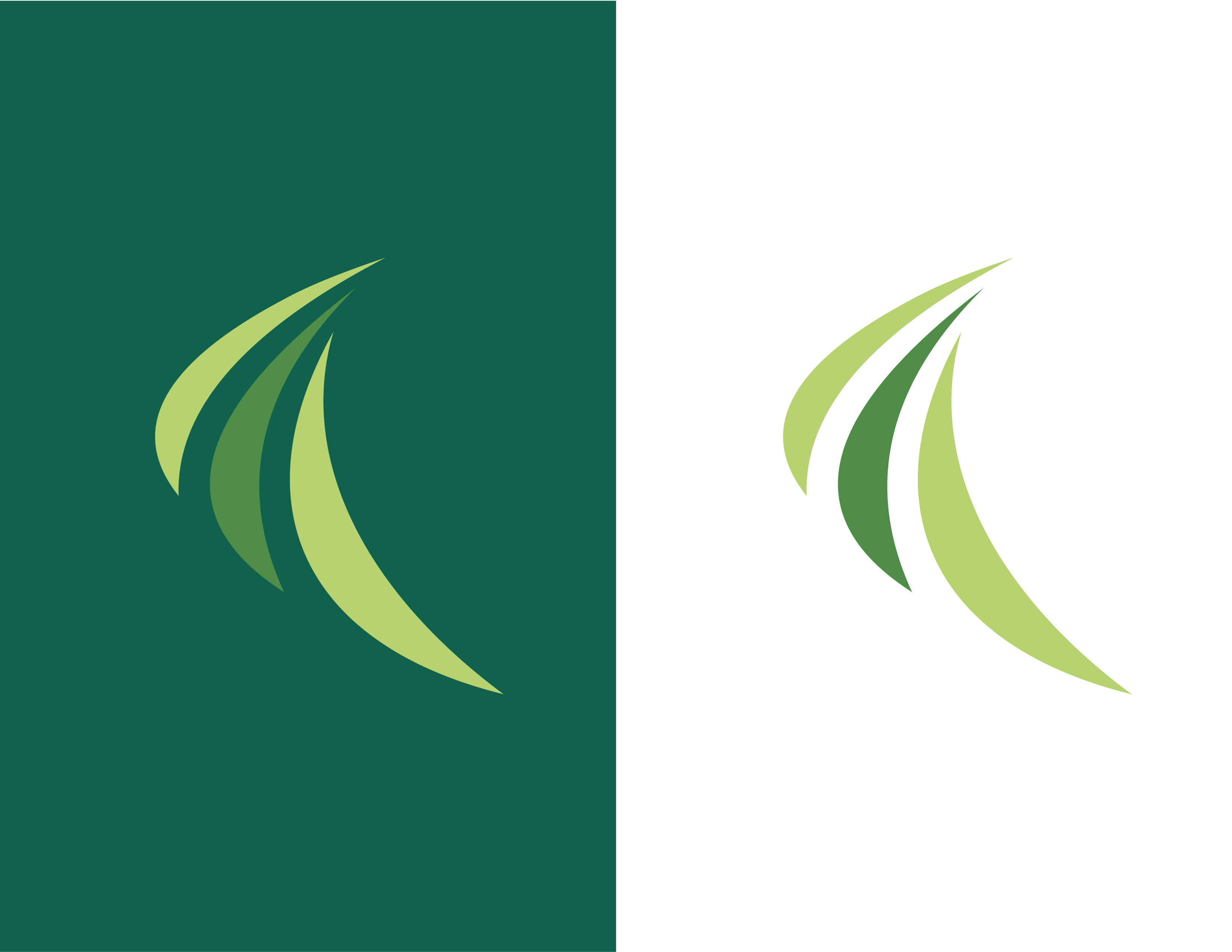Design de Logo par JoelFergusonDomingos pour ce projet | Design #25290839