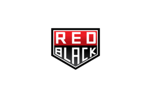 Logo-Design von graphicevolution für Enrich Partners | Design: #25504438