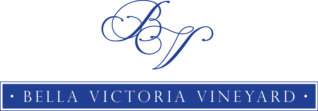 Logo Design by Anita for this project | Design #3085882