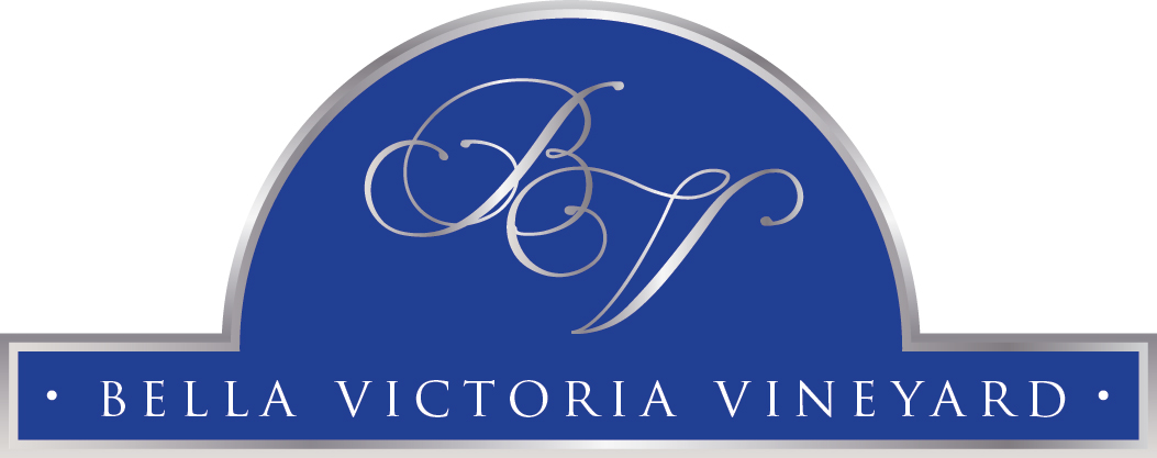 Logo Design by Anita for this project | Design #3086063