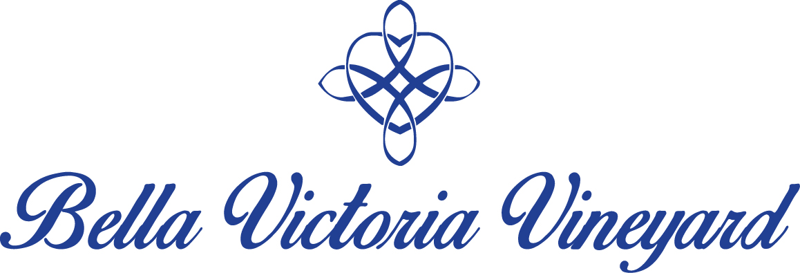 Logo Design by Anita for this project | Design #3087313