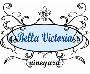 Logo Design by mazaisezis