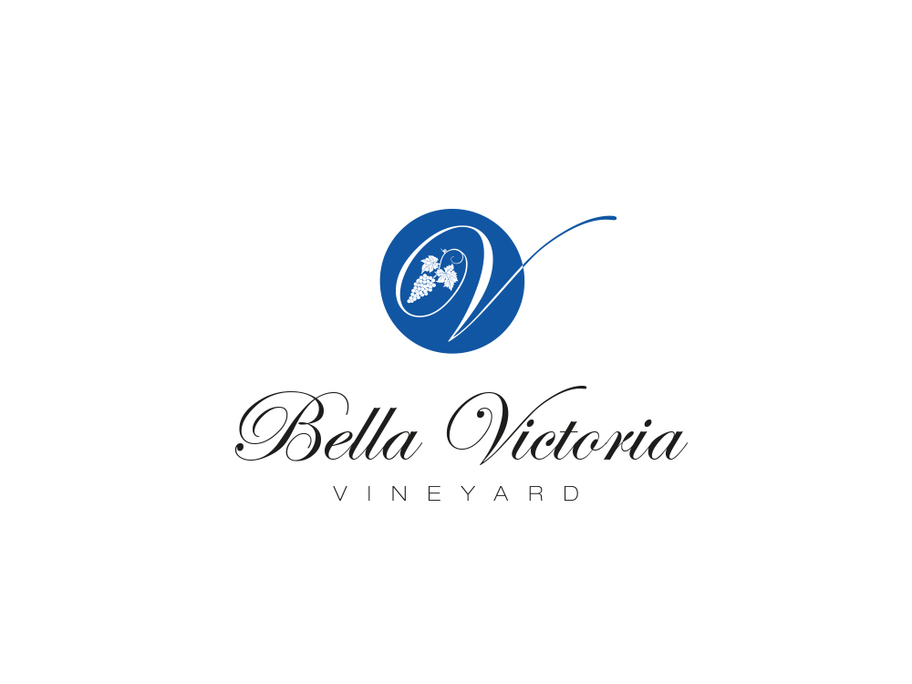 Logo Design by Plan-six for this project | Design #3071695