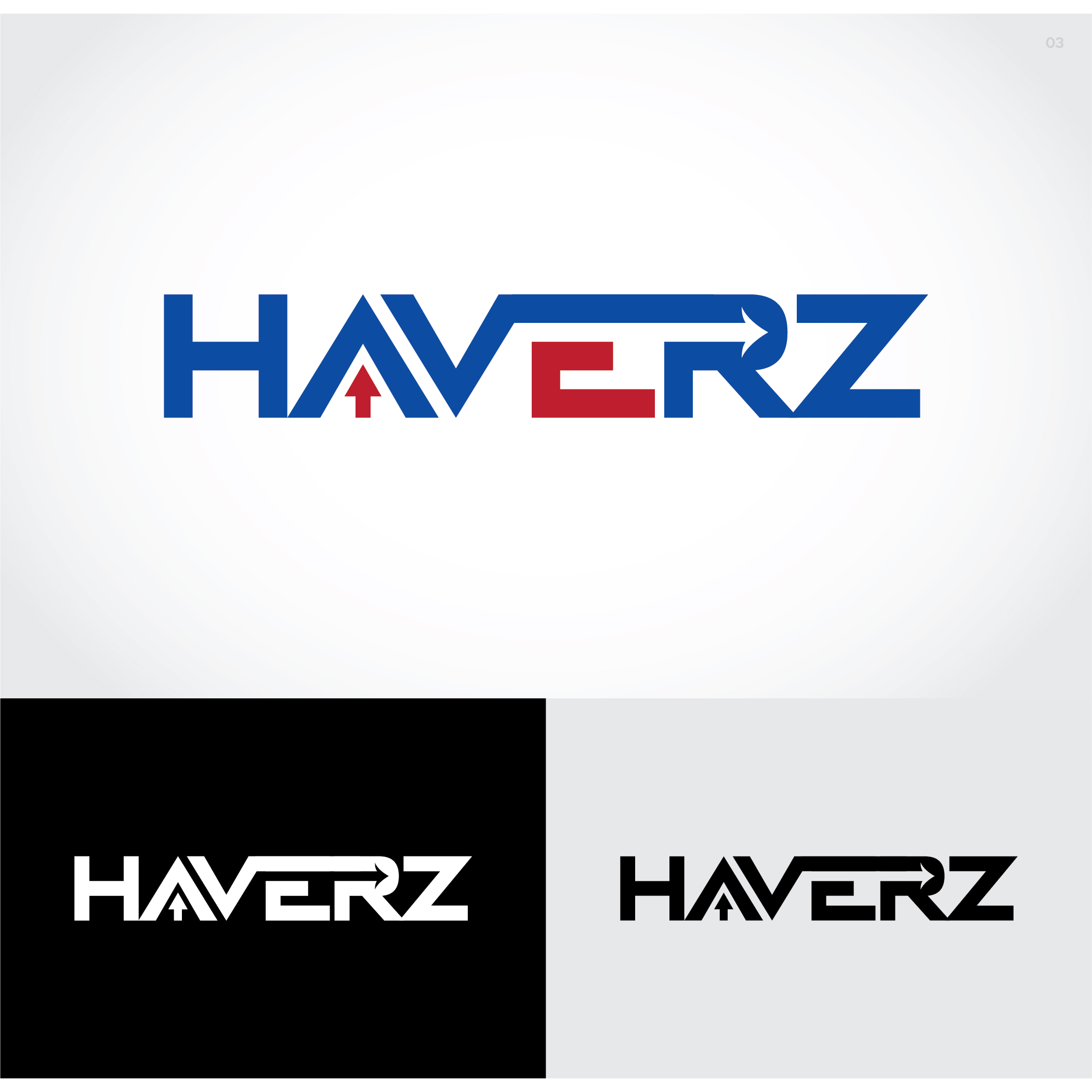 Logo Design by Ayaan ahmed for this project | Design #25286068