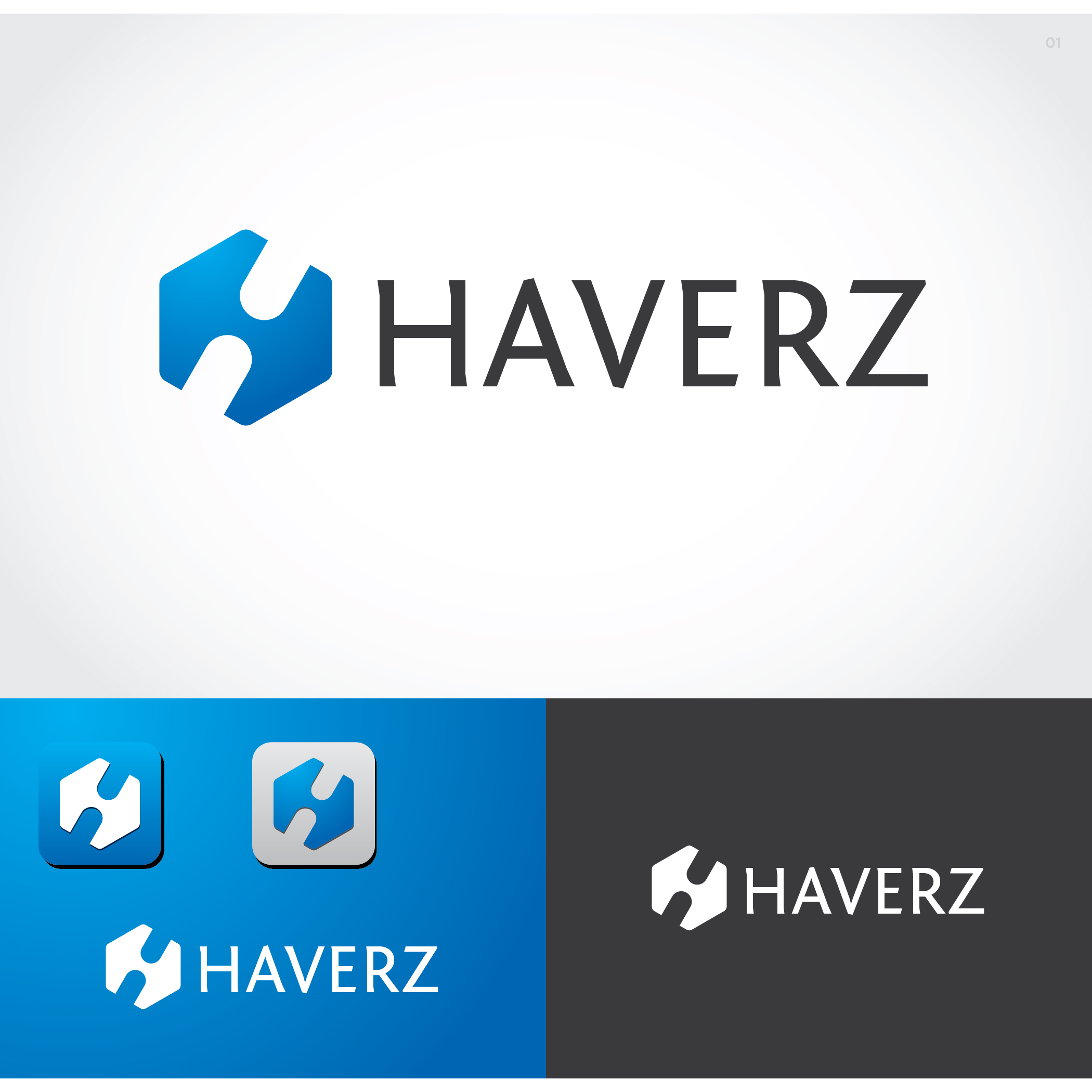 Logo Design by Ayaan ahmed for this project | Design #25286069
