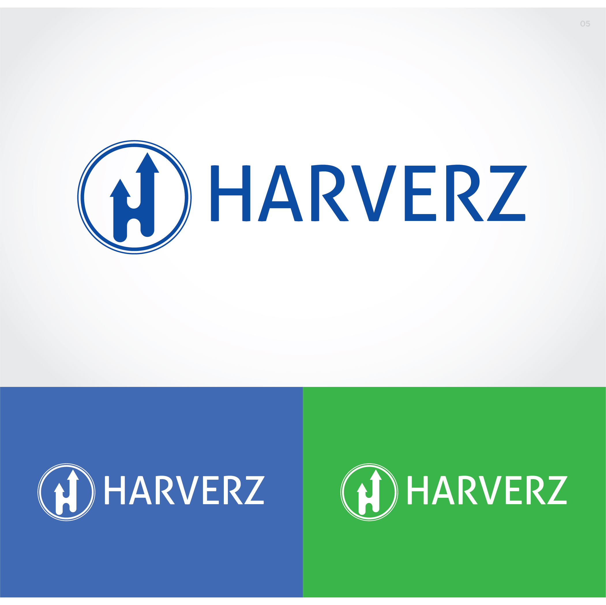 Logo Design by Ayaan ahmed for this project | Design #25300952
