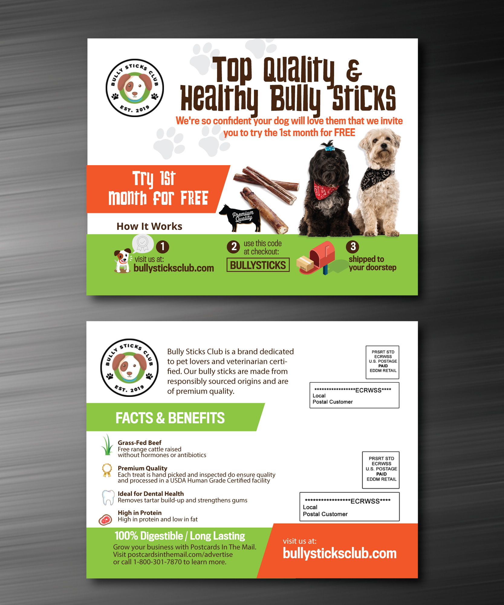 Postcard Design by Sergio Coelho for this project | Design #25297456