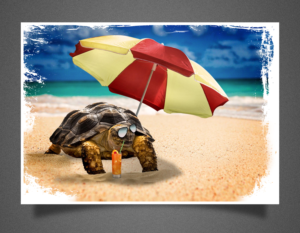 Happy Turtle Drinking from Biodegradable Straw | Design Graphique par SAI DESIGNS