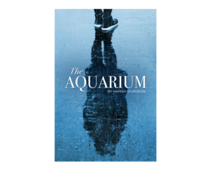 Diseño de portada de libro por Arte Dezign para este proyecto | Diseño: #25307325