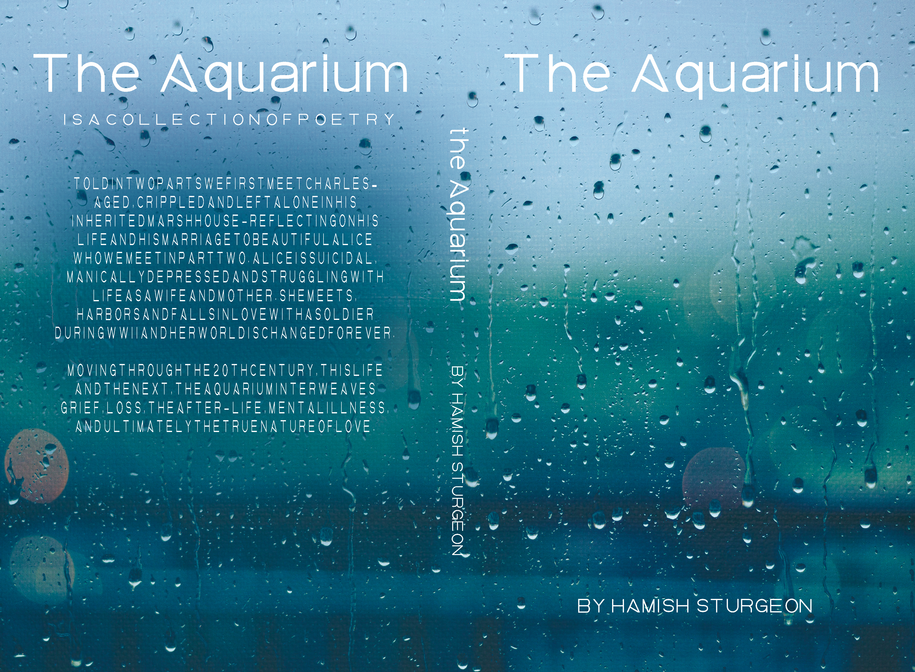 Diseño de portada de libro por leuchi para este proyecto | Diseño #25306357