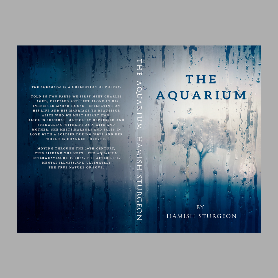 Diseño de portada de libro por dienel96 para este proyecto | Diseño #25324144