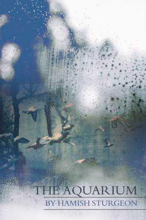 Book cover design for a collection of poetry - The Aquarium | Design de Couverture de Livre par Estratosphera