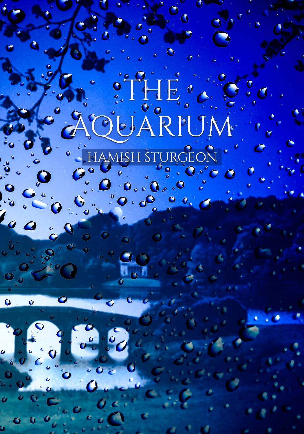 Diseño de portada de libro por sormaz.tanja para este proyecto | Diseño #25316937