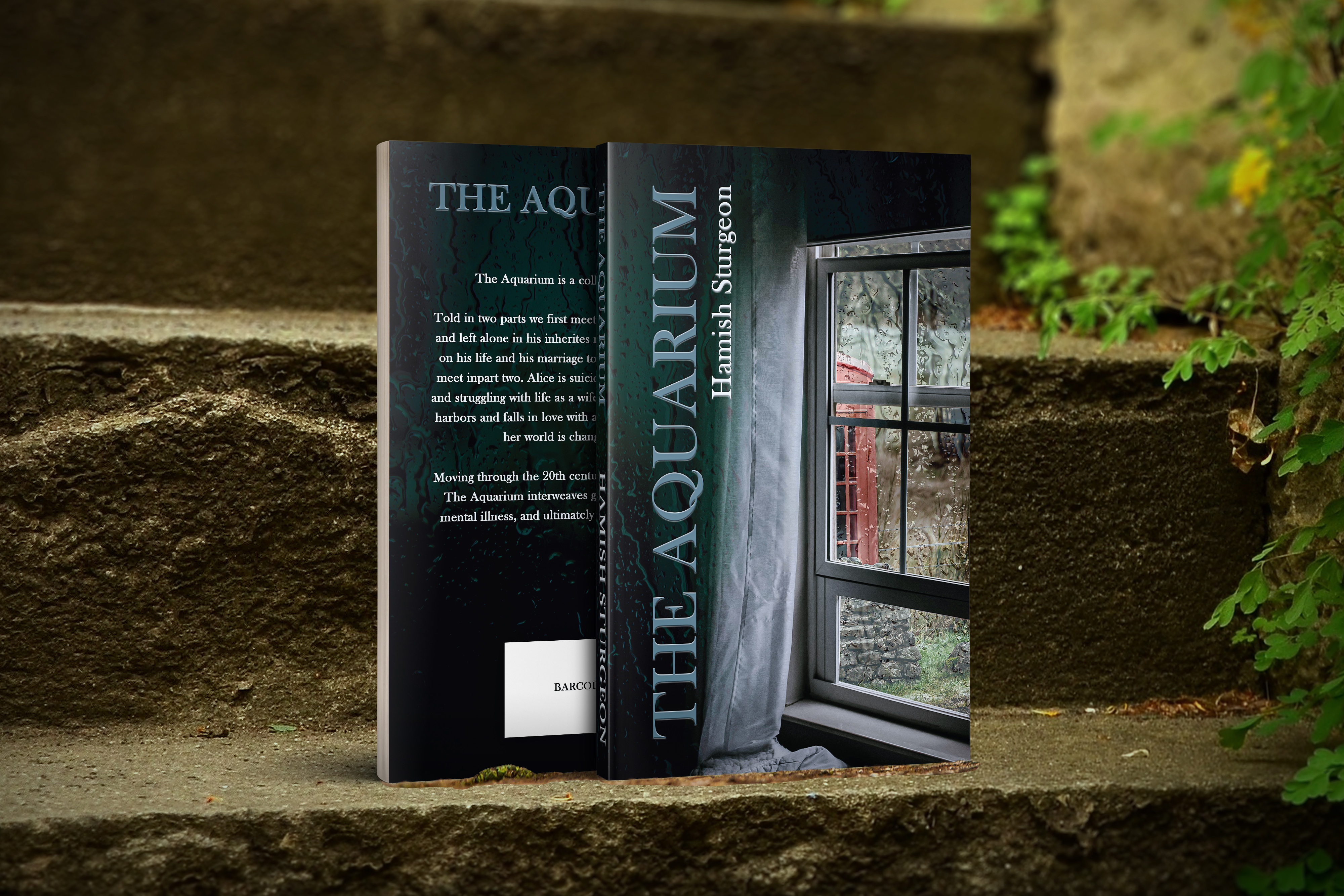 Diseño de portada de libro por Val Koleva para este proyecto | Diseño #25321824