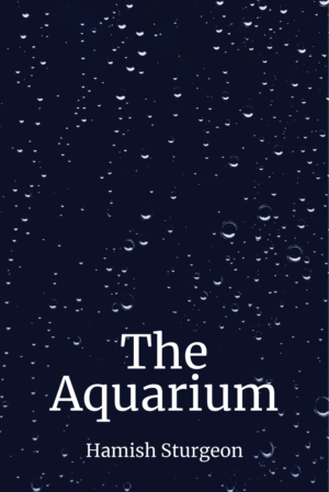 Book Cover Design by jdr1992