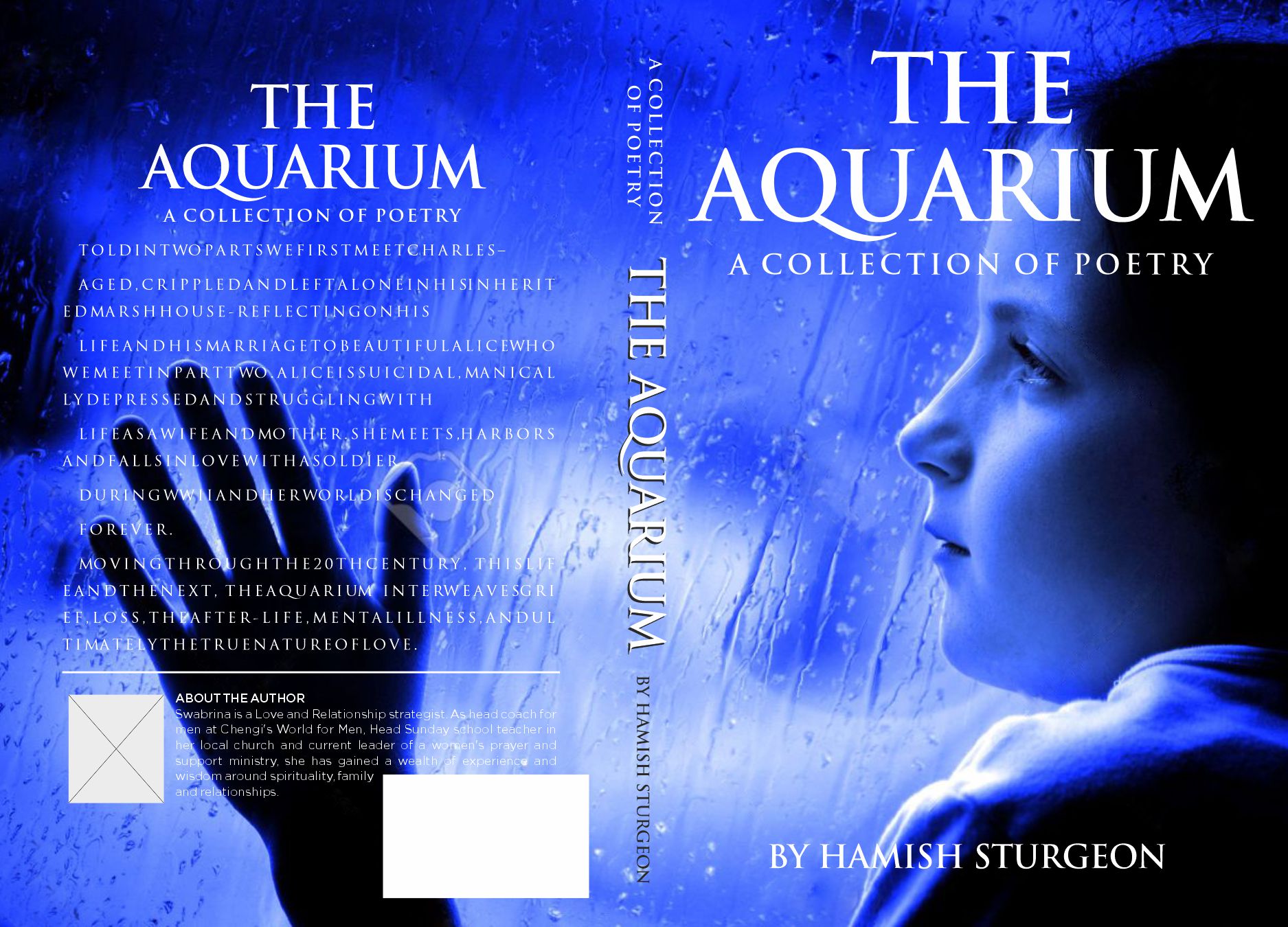 Book Cover Design by DesignART for this project | Design #25312040