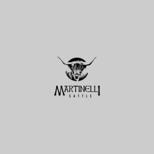 Martinelli Cattle Company OR Martinelli Cattle Co | Logo Design by toothless99