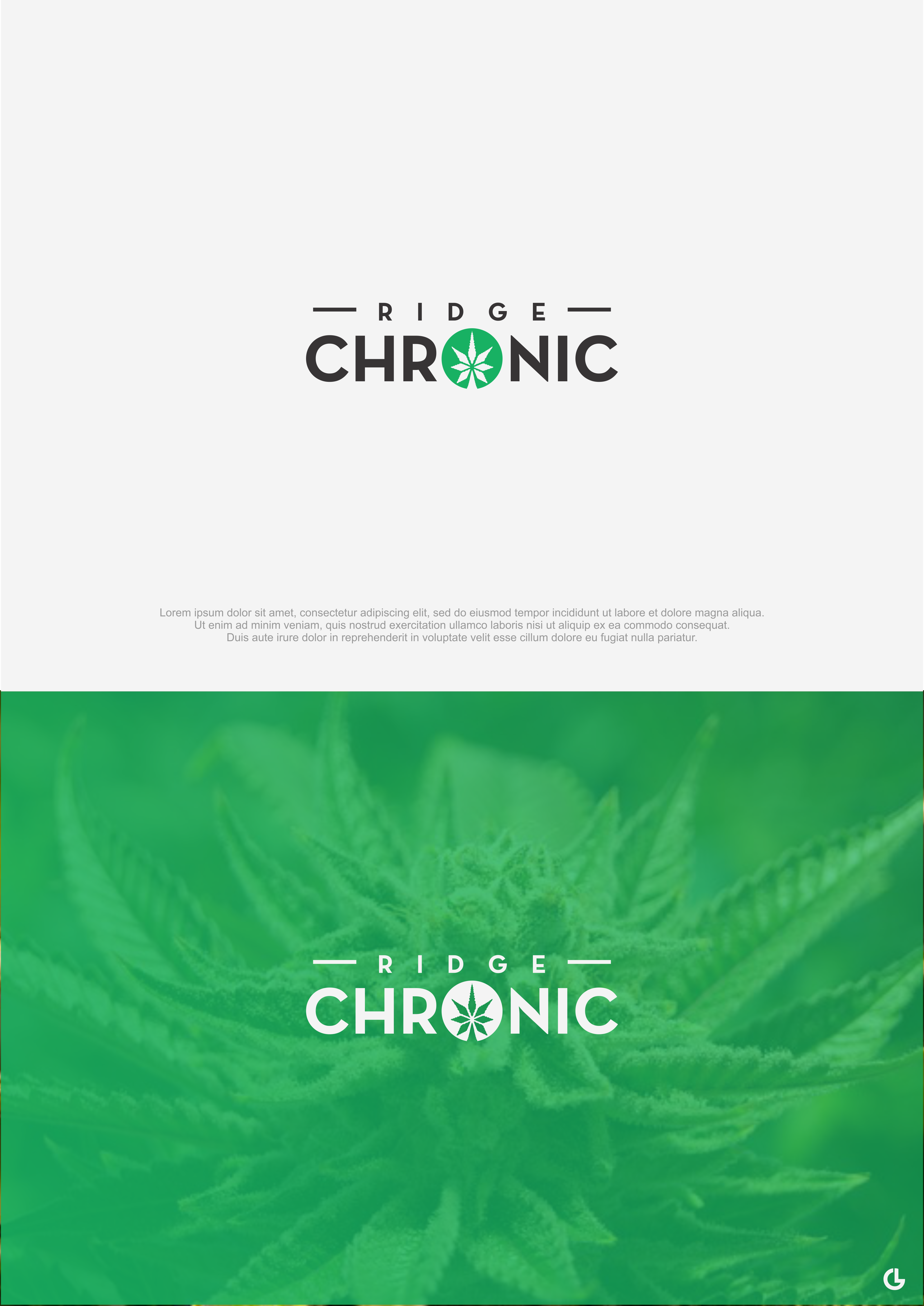 Logo-Design von R!CKY für dieses Projekt | Design #25335319