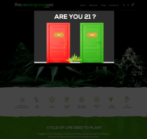 Web Design by seodigitalvalley