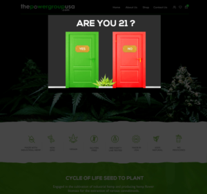 Web Design by seodigitalvalley for this project | Design: #25387194