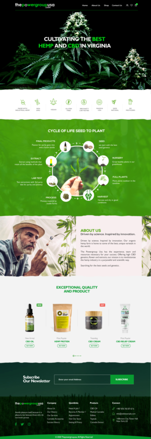 Web Design by seodigitalvalley for this project | Design #25405855