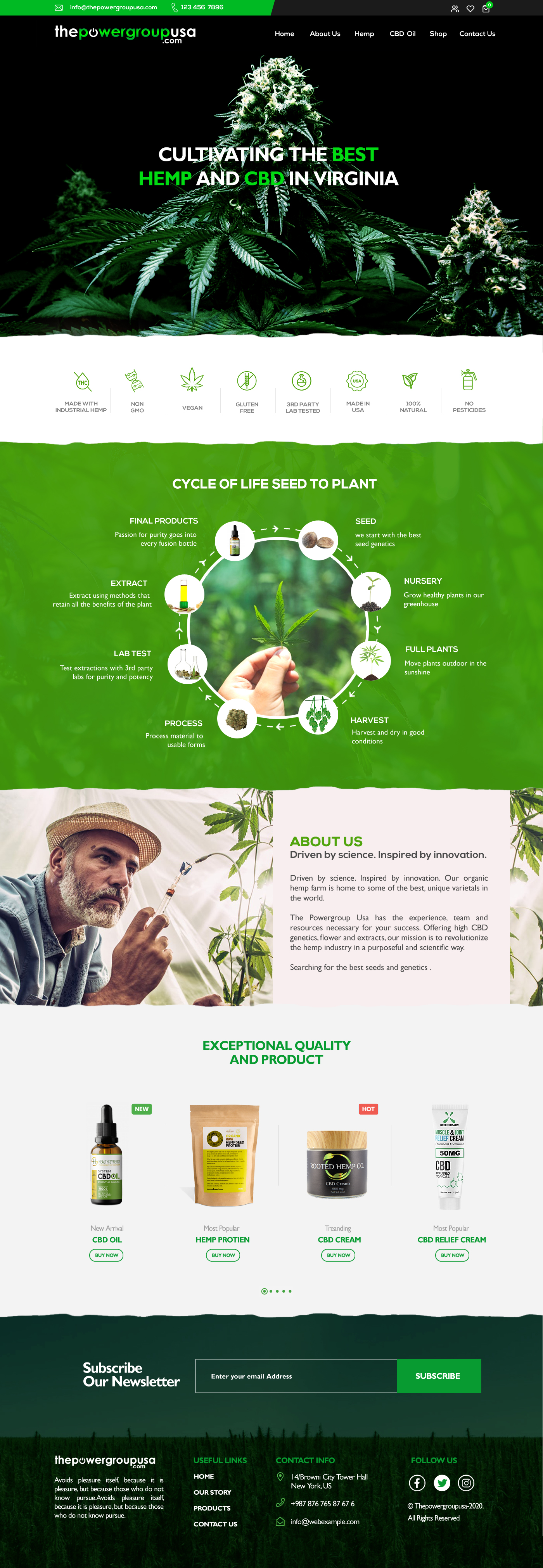 Web Design by seodigitalvalley for this project | Design #25432022