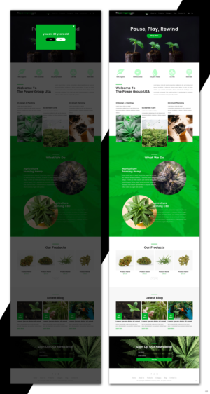 Web Design by pb for this project | Design: #25316425