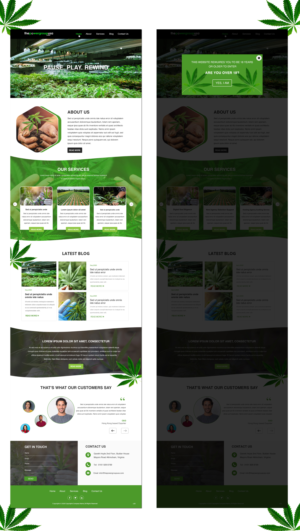 Web Design by pb for this project | Design: #25316431