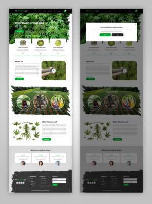 Web Design by pb for this project | Design: #25316433