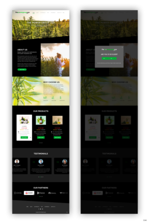 Web Design by pb for this project | Design: #25316438