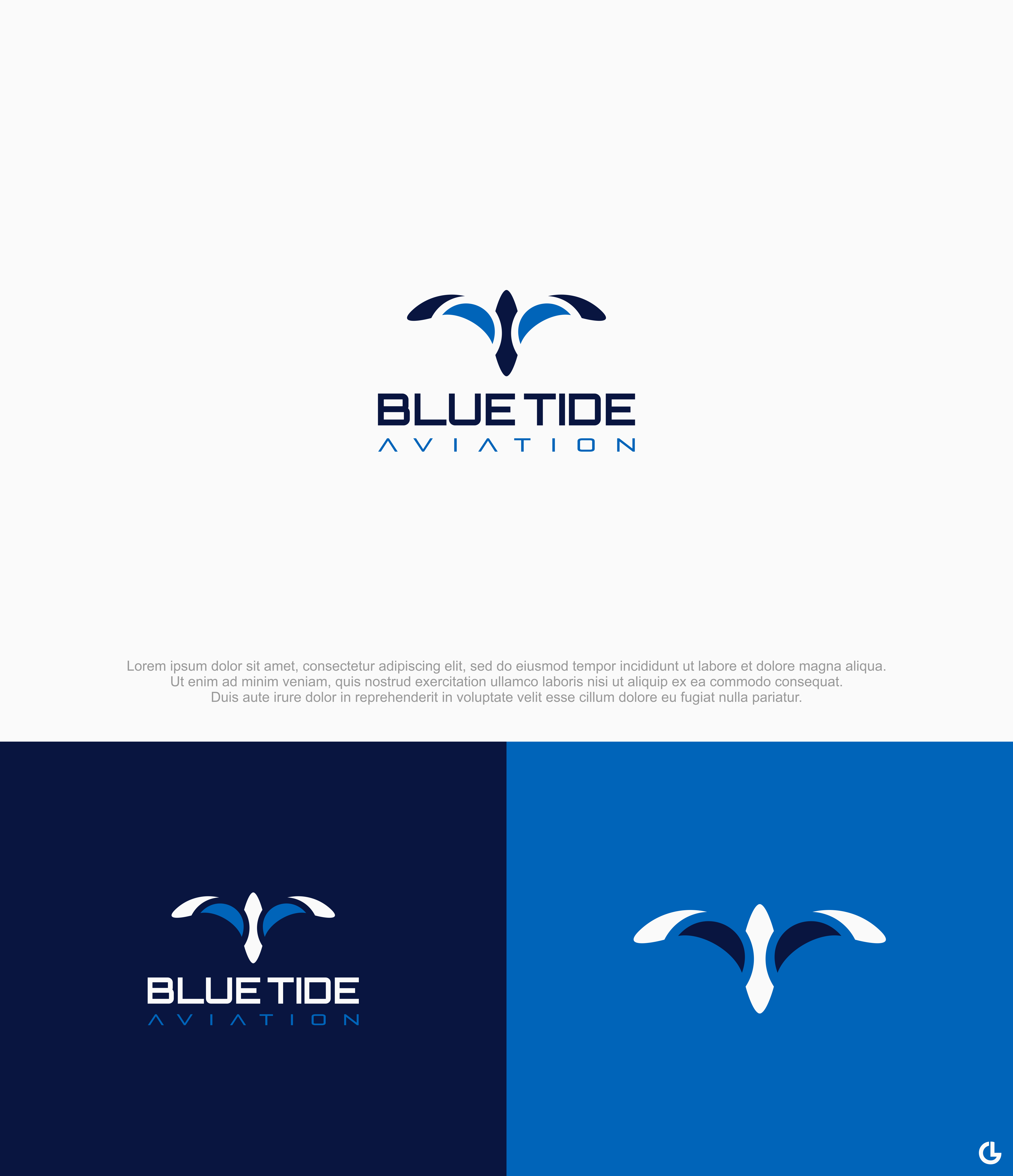 Logo Design by R!CKY for Blue Tide Aviation | Design #25320906
