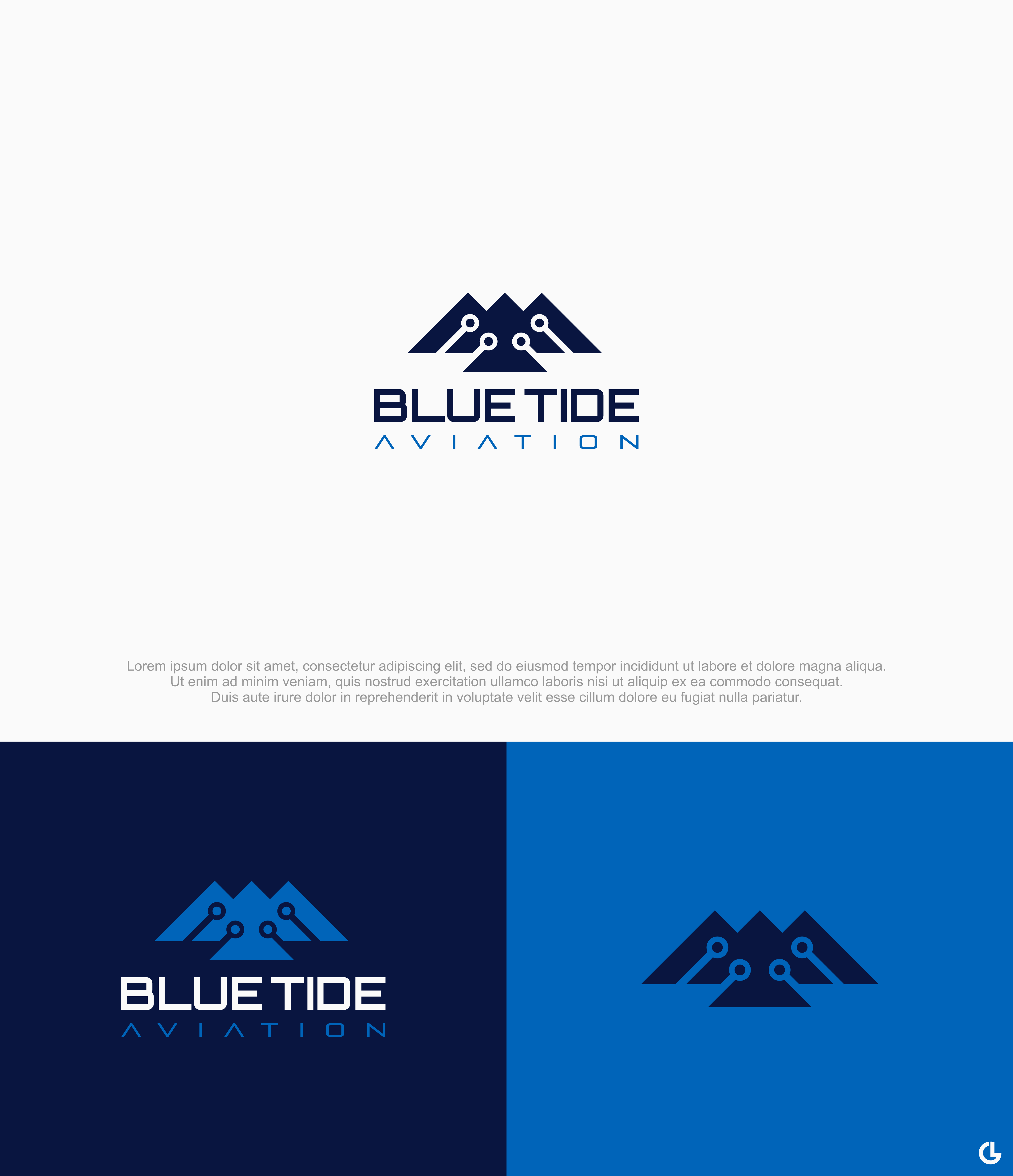 Logo Design by R!CKY for Blue Tide Aviation | Design #25320907