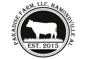 Logo Design by Bryan