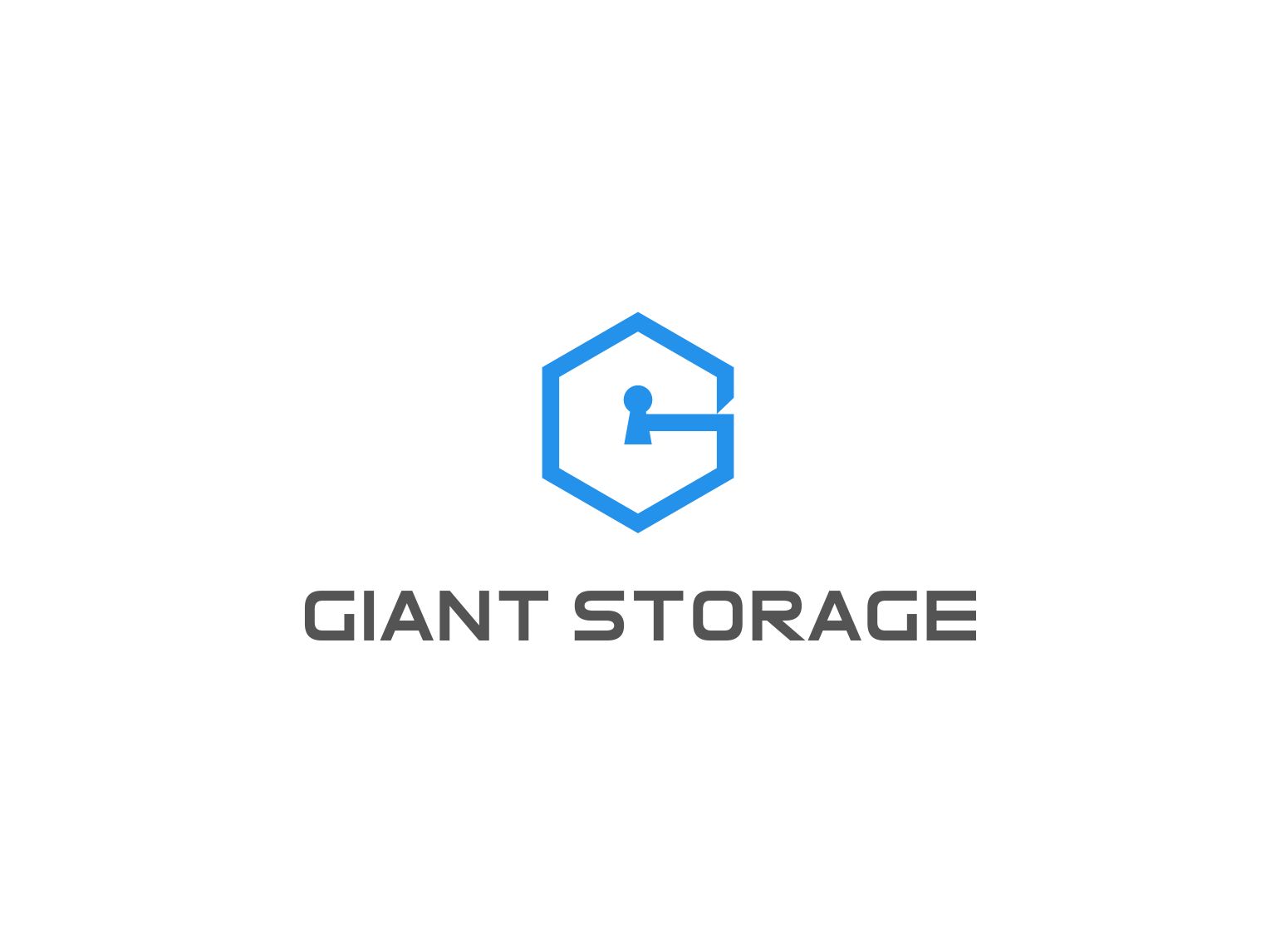 Logo-Design von RAN MEI JS für Steel Structures America   | Design #25315125