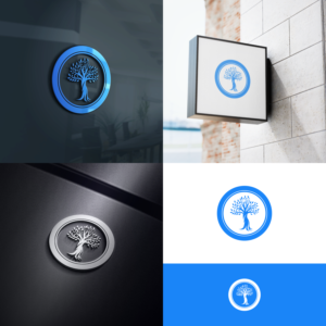 Design de Logo par Gambar Drips pour Bluestone Capital | Design : #25311424