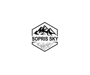 Logo-Design von Synthi für dieses Projekt | Design: #25321554