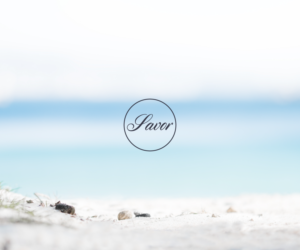 Savor Travels | Logo Design by Vetroff