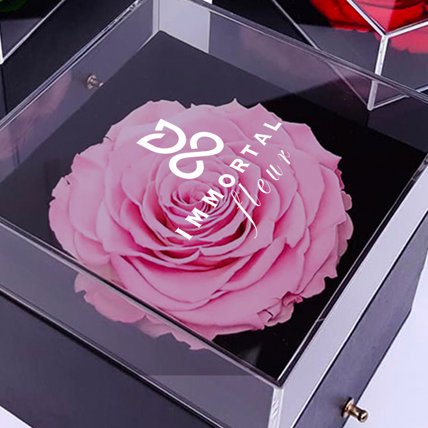 Logo Design by rls for this project | Design #25393953