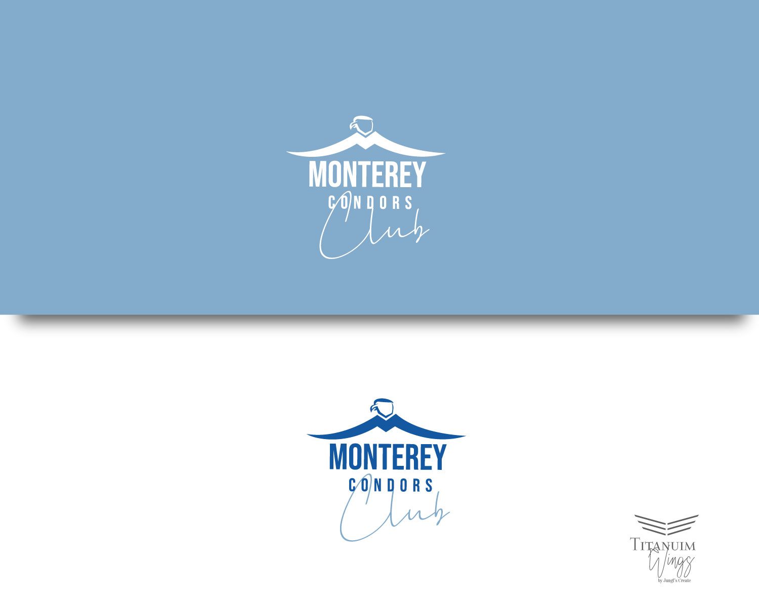 Logo-Design von titanium wings für dieses Projekt | Design #25323247