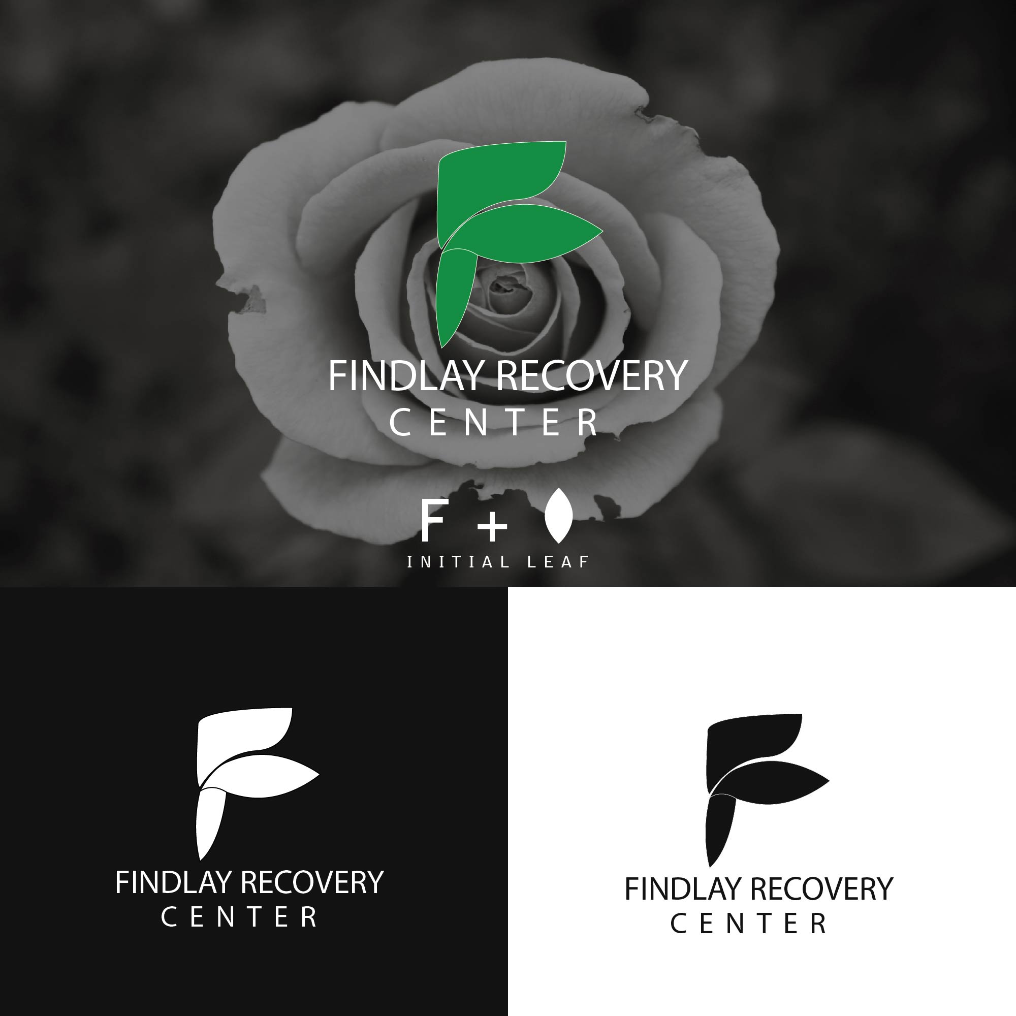 Diseño de Logo por alitjuara para este proyecto | Diseño #25332528