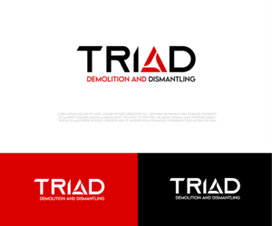 Triad Demolition and Dismantling | Logo Design by Ng V Duc